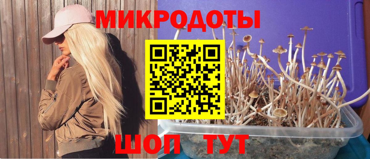 Коммунар  дарнет шоп  Вход с VPN  Галлюциногенные грибы прущие грибы 